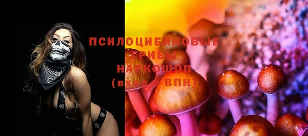 кокс Баксан