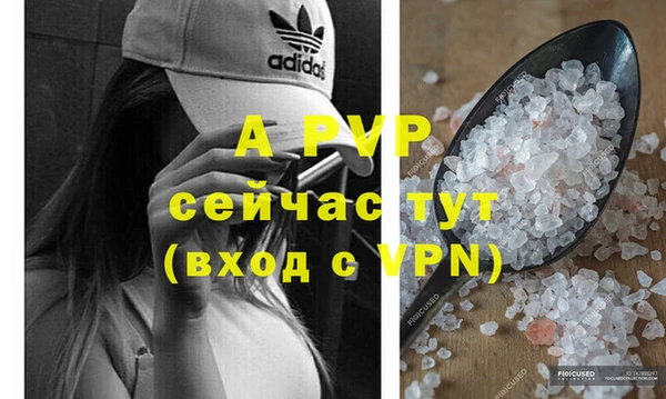 кокс Баксан