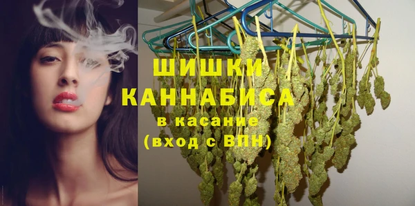 трава Балахна