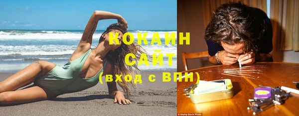трава Балахна