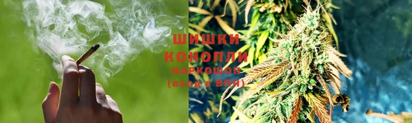 трава Балахна